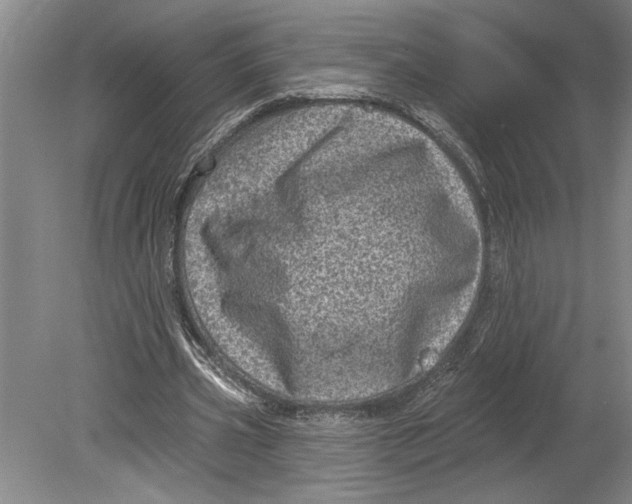 X0000080720533200701021056