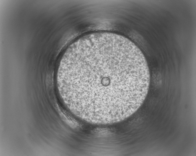 X0000080720534200701021056