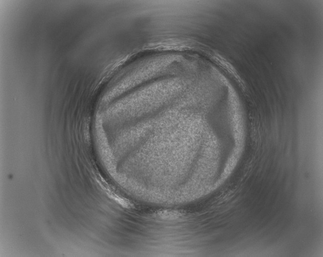 X0000080720537200701021057