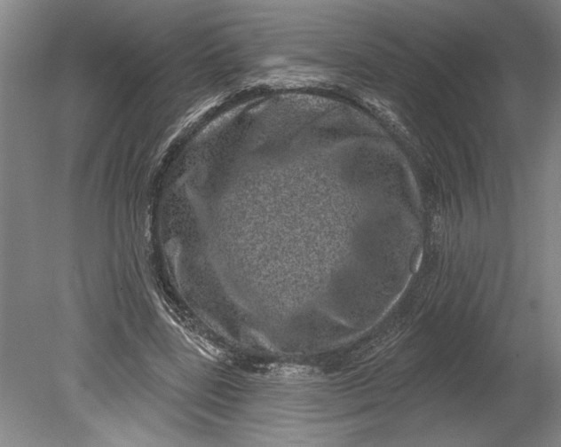 X0000080720539200701021057