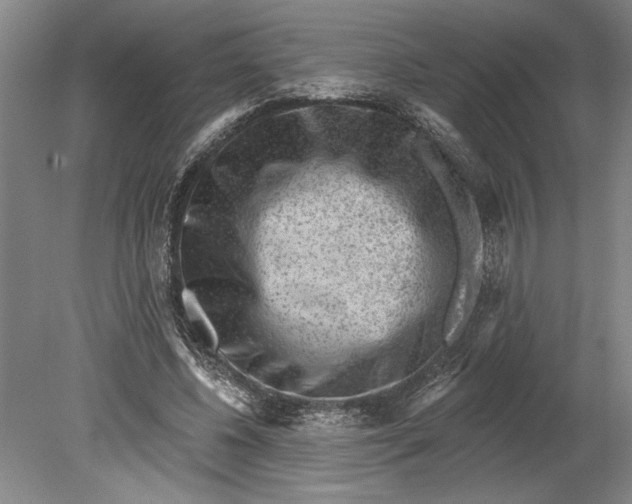 X0000080720540200701021057