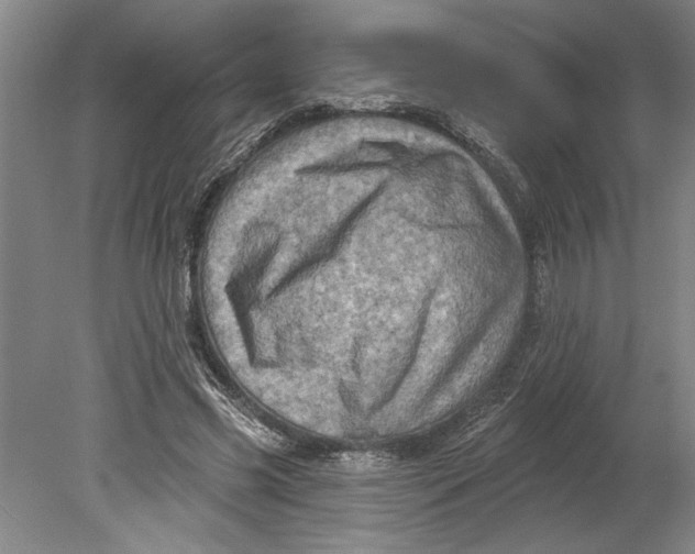 X0000080720541200701021057