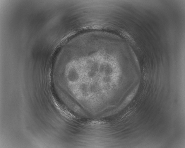 X0000080720542200701021057