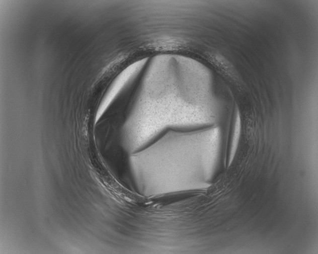 X0000080720543200701021057