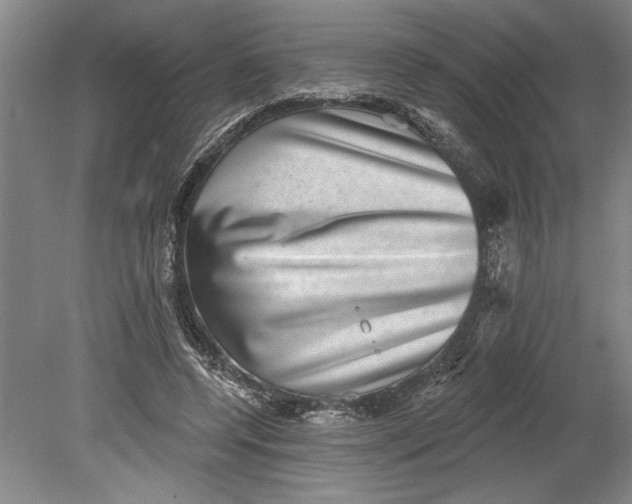 X0000080720544200701021057