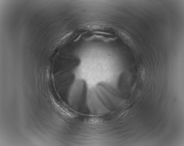 X0000080720546200701021057