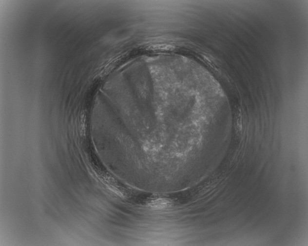 X0000080720551200701021057