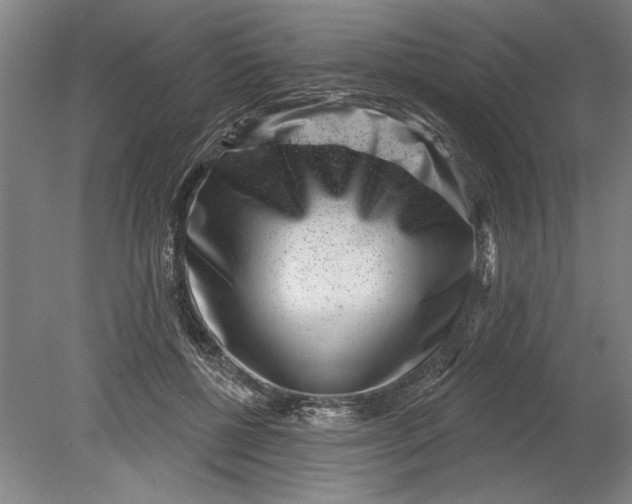 X0000080720552200701021057