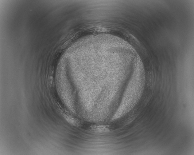 X0000080720553200701021057