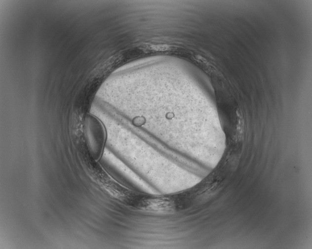 X0000080720555200701021057