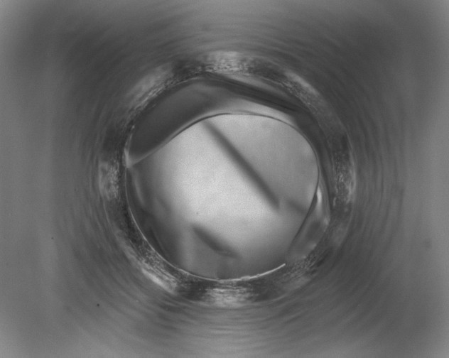 X0000080720556200701021057