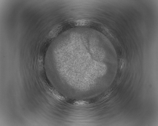 X0000080720557200701021057