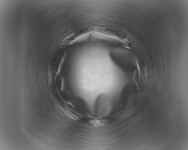 X0000080720558200701021057