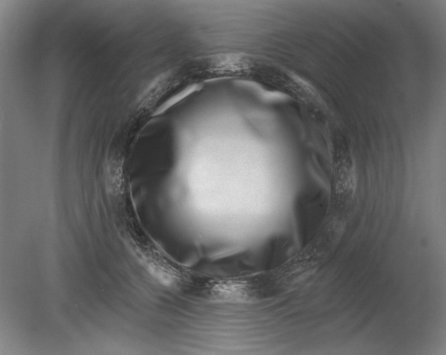 X0000080720560200701021057