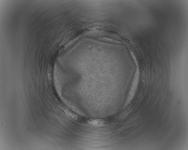 X0000080720561200701021057