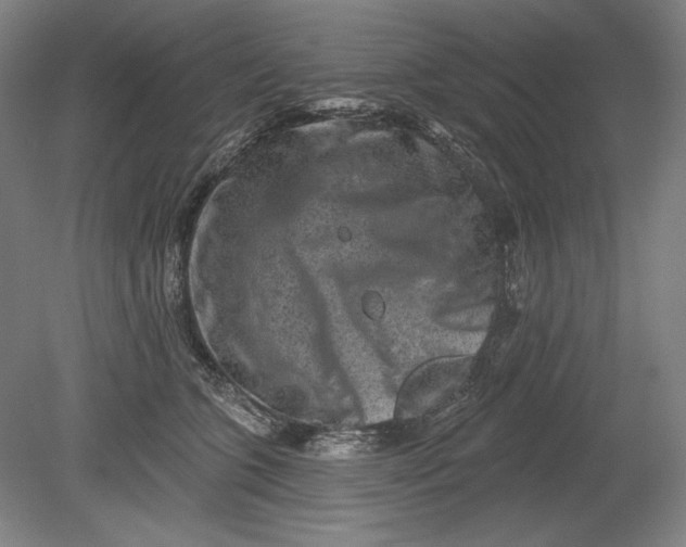 X0000080720563200701021057