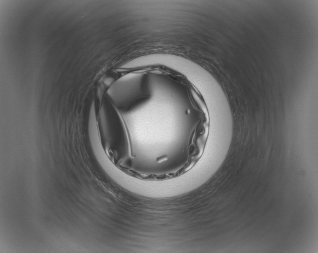 X0000080720564200701021057