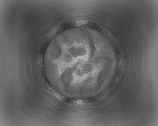 X0000080720565200701021057