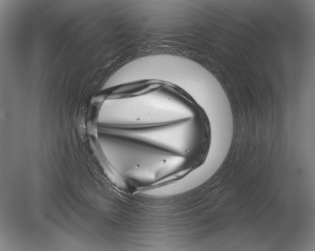 X0000080720566200701021057