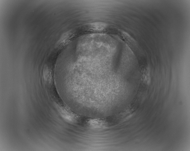 X0000080720568200701021057