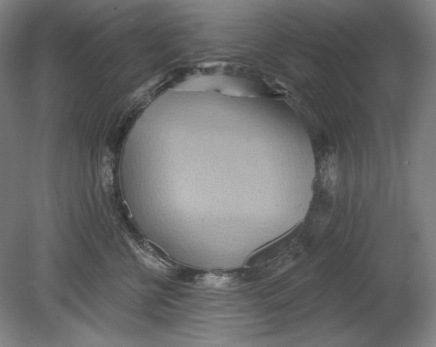 X0000080720570200701021057