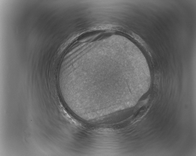 X0000080720577200701021056