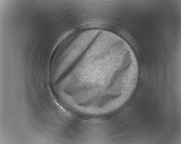 X0000080720578200701021056