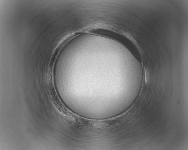 X0000080720579200701021056