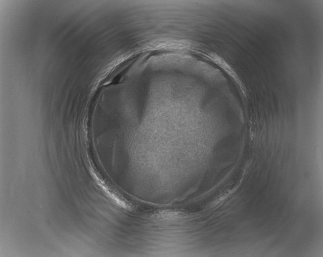 X0000080720581200701021056