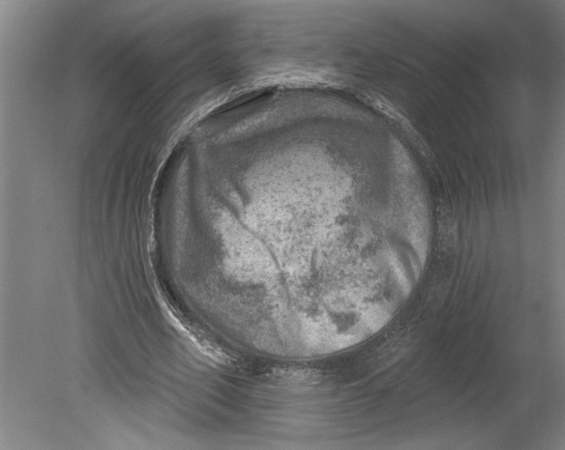 X0000080720582200701021056