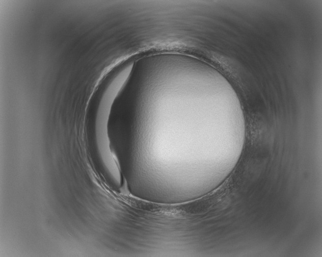 X0000080720583200701021056