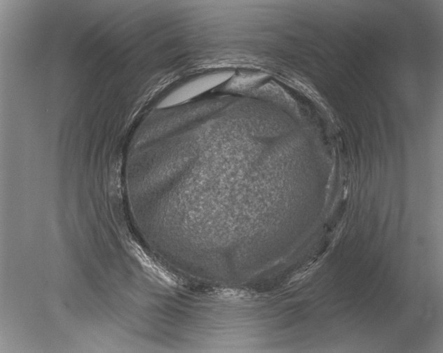 X0000080720585200701021056