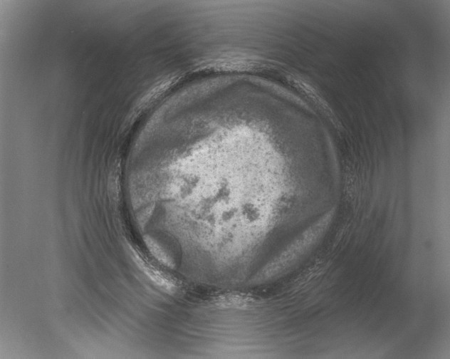 X0000080720586200701021056