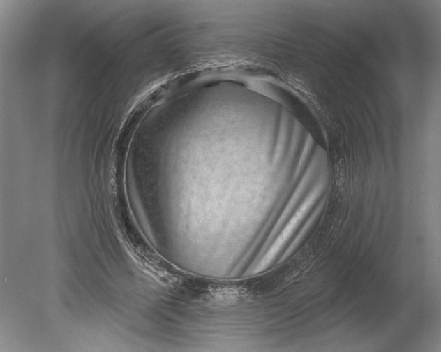 X0000080720587200701021056