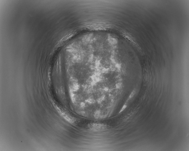 X0000080720590200701021056