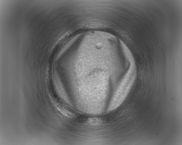 X0000080720591200701021056