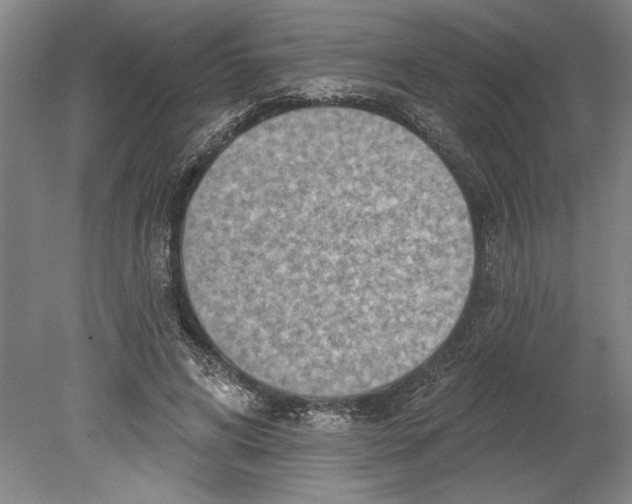 X0000080720592200701021056