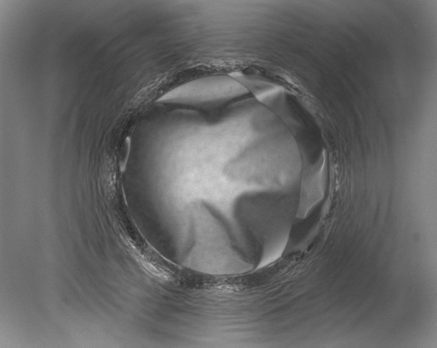 X0000080720593200701021056