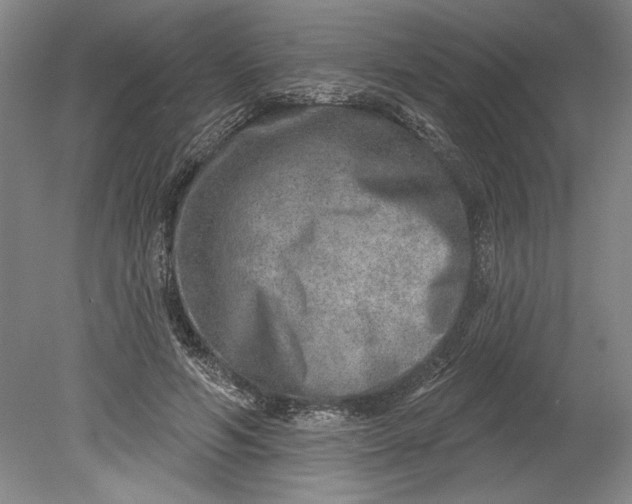 X0000080720594200701021056