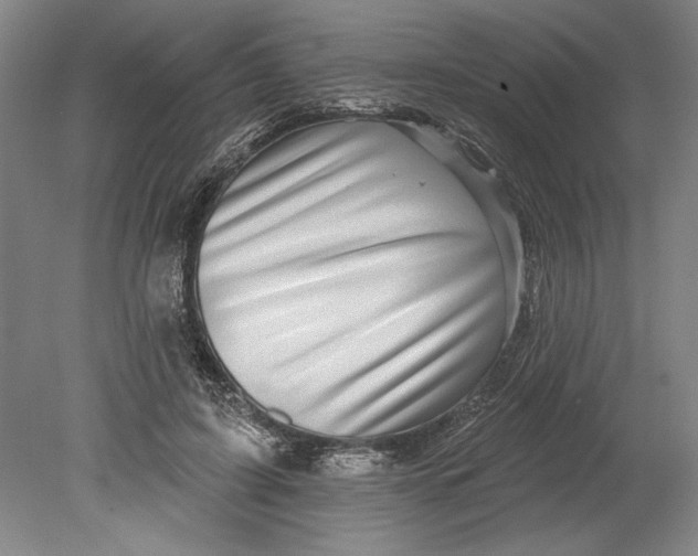 X0000080720595200701021056