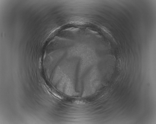 X0000080720596200701021056