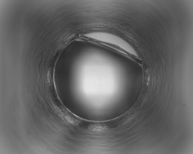 X0000080720597200701021056