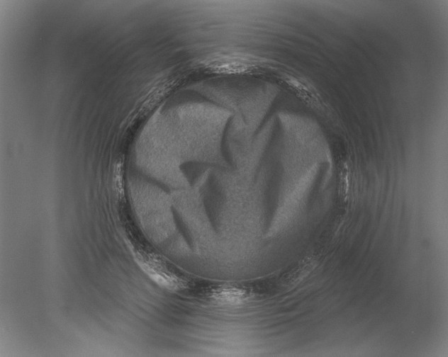 X0000080720598200701021056