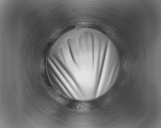 X0000080720599200701021056