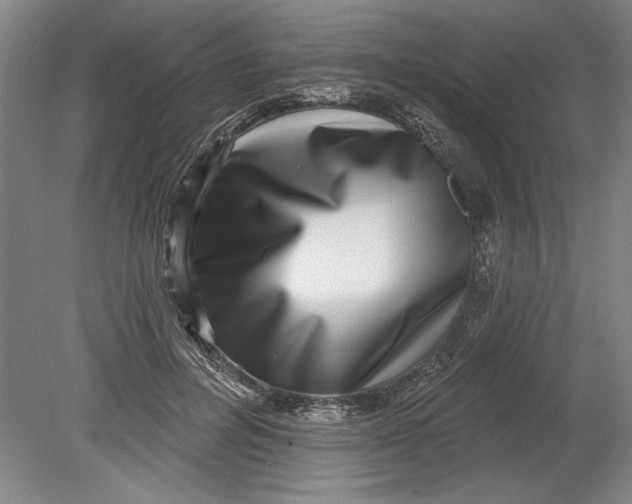 X0000080720600200701021056