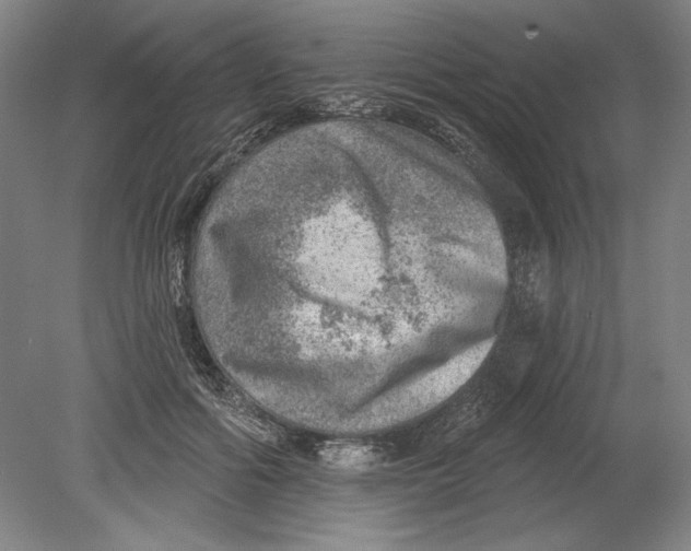 X0000080720602200701021056