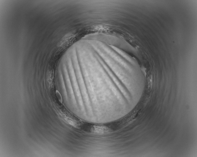 X0000080720605200701021056