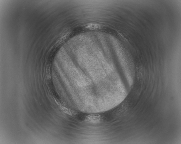 X0000080720606200701021056