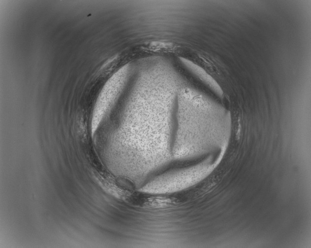 X0000080720607200701021056