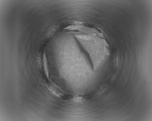 X0000080720609200701021056